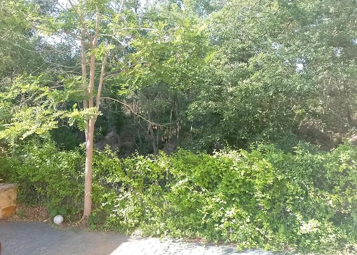 Gran Estudio De 50m2 Cerca Costa Brava וידררס